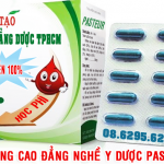 dao-tao-cao-dang-duoc-tphcm