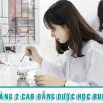 VB2 CAO DANG DUOC