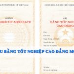 mau bang tot nghiep cao dang y duoc tphcm