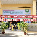 co-phai-rut-ho-so-khoi-truong-dh-y-hoc-co-truyen