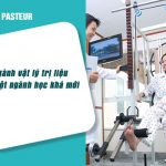 vat-ly-tri-lieu-la-nganh-hoc-kha-moi