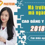 ma-nganh-ma-truong-cao-dang-y-duoc-tphcm-nam-2018