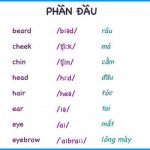 tieng-anh-phan-dau-1