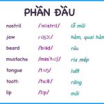 tieng-anh-phan-dau