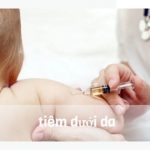 tiem-duoi-da 23.5