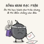 hoc-tai-thi-phan
