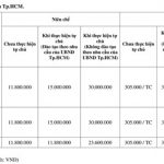 pnthocphi-2_vtic