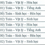 HINH-2-TNMT