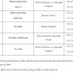 Tdt-Hinh-2