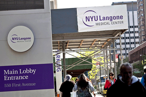 Hiện NYU đã huy động được hơn 450 triệu USD 