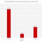 hoa – binh 3