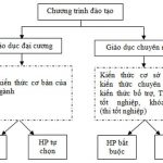 tin – chi