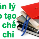 tin – chi 2