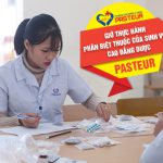 Gio-phan-biet-thuoc-cua-sinh-vien-cao-dang-duoc-pasteur-23-7