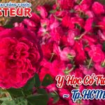 Y-hoc-co-truyen-pasteur-16-4