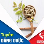 Xet-tuyen-cao-dang-duoc-pasteur-18-5