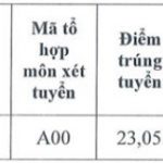 duochanoi