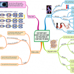 so-do-tu-duy-mon-sinh-hoc-lop-12-2-640×353