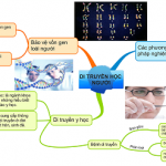 so-do-tu-duy-mon-sinh-hoc-lop-12-5-640×247