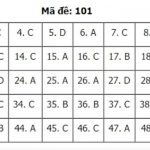 101.1