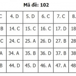 102