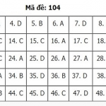 104