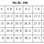106