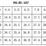 107