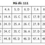 111