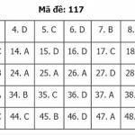 117.1