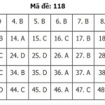 118