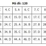 120