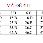 411