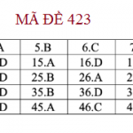 423