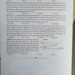 monhoa1