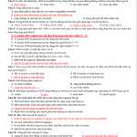 sinhhoc1