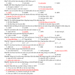 sinhhoc3