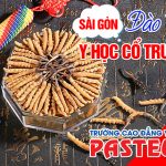 Dao-tao-y-hoc-co-truyen-pasteur-sai-gon-pasteur-13-7-2019