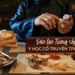 Dao-tao-trung-cap-y-hoc-co-truyen-tphcm