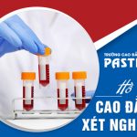 Ho-so-cao-dang-xet-nghiem-pasteur-4-4