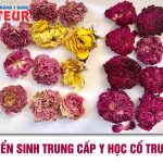 Tuyen-sinh-trung-cap-y-hoc-co-truyen-pasteur-16-4