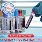 Dao-tao-ky-thuat-vien-xet-nghiem-y-hoc-pasteur-tphcm