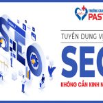 td seo 600