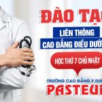 Dao-tao-lien-thong-cao-dang-dieu-duong-pasteur-5-8