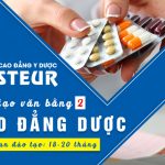 Dao-tao-van-bang-2-cao-dang-duoc-pasteur-13-6