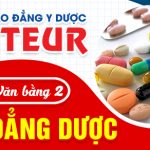 Ho-so-van-bang-2-cao-dang-duoc-pasteur-17-10-600x