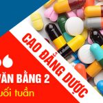Dao-tao-van-bang-2-cao-dang-duoc-pasteur-21-2-560x
