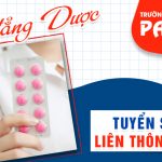 Tuyen-sinh-lien-thong-cao-dang-duoc-pasteur-15-9-560x