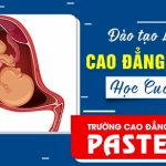 Dao-tao-lien-thong-cao-dang-ho-sinh-pasteur-26-11-560x