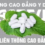 Dia-chi-lien-thong-cao-dang-duoc-pasteur-13-5-560x